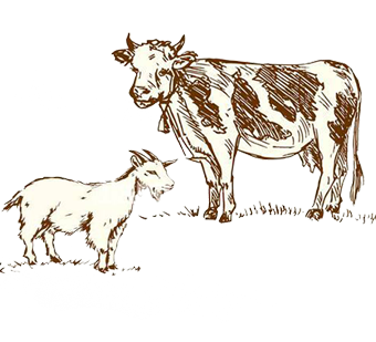 CREAM (COW & GOAT)