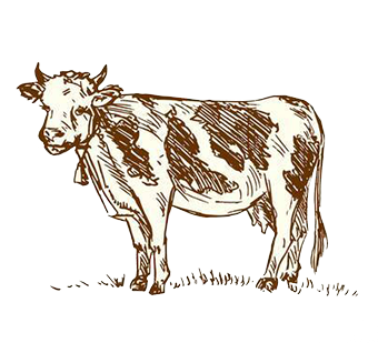 SMC 35% COW'S MILK